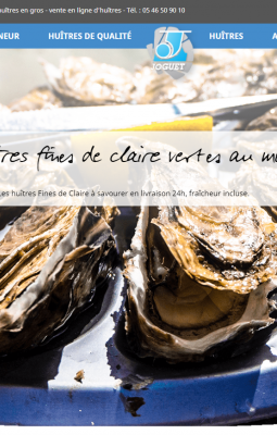 en ligne d'huîtres "direct producteur affineur", prix des huîtres au kilo détail ou gros, proche de Marennes Oléron